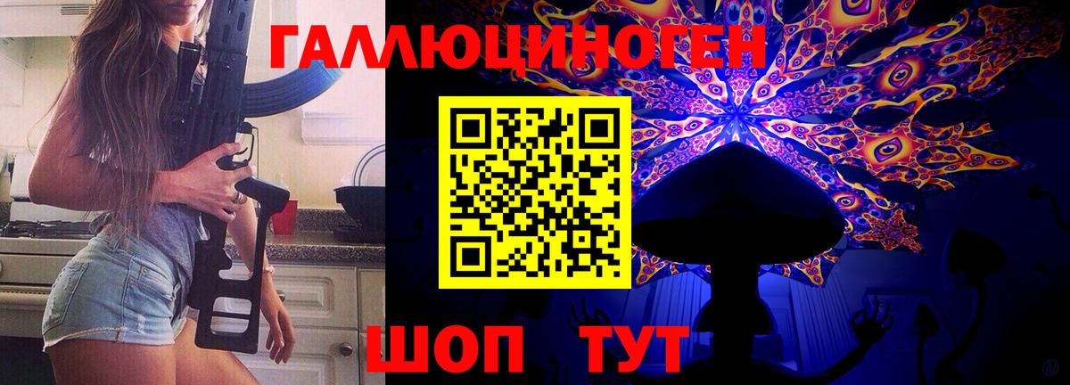 Псилоцибиновые грибы Psilocybine cubensis Светлоград